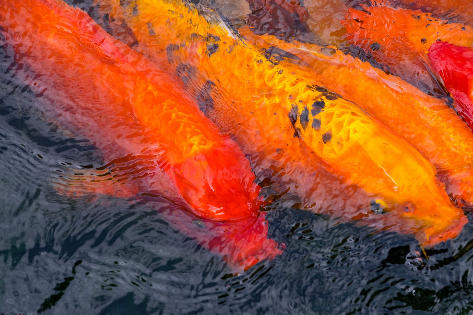 Fire and Ripples