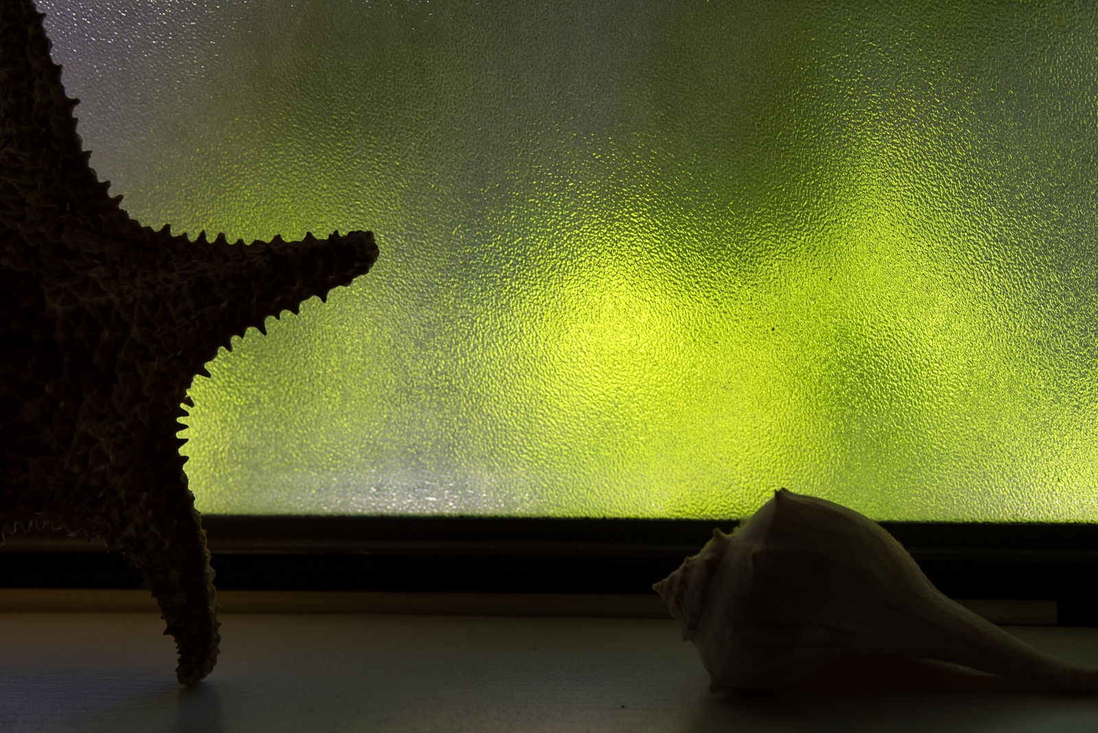 Shadows with Teeth